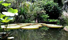 Best Gardens In Penang